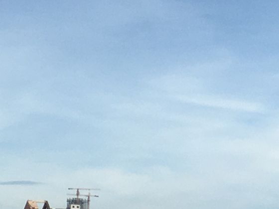 换羽中的生命哲学：舍弃旧羽方能轻装前行，恰似成长中需要的取舍