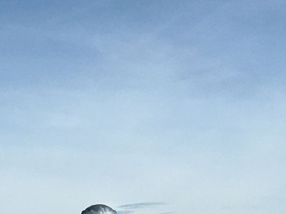 春季花田的数学美学：荷兰库肯霍夫公园的种植设计哲学