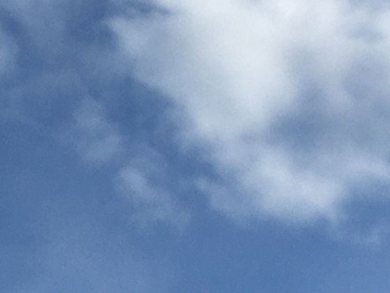 雨林与人类的千年羁绊：亚马逊原住民如何与这片绿色世界和谐共生