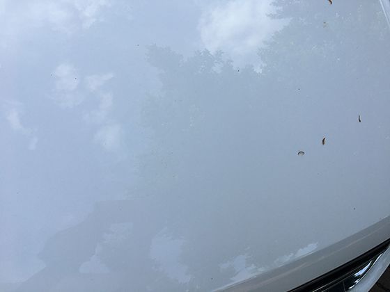 水生动物体形演化：流线型身体如何帮助它们减少水流阻力？