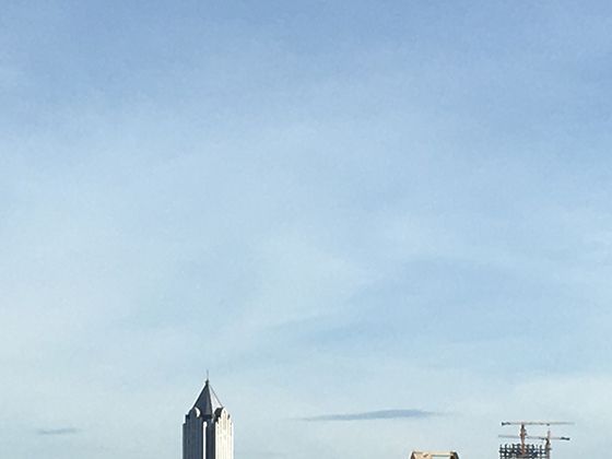 不依赖骨骼却能构建珊瑚礁：刺胞动物用“柔弱身体”创造海洋里的“生态城堡”