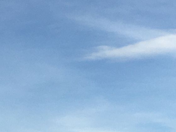 唱片工业的起点：留声机如何催生了一个全新的全球性音乐产业？