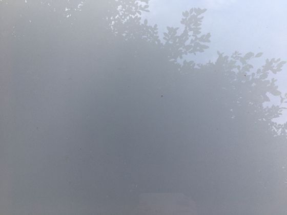 龙虾壳的奇妙用途：除了食用，这些废弃物在生活中的创意转化