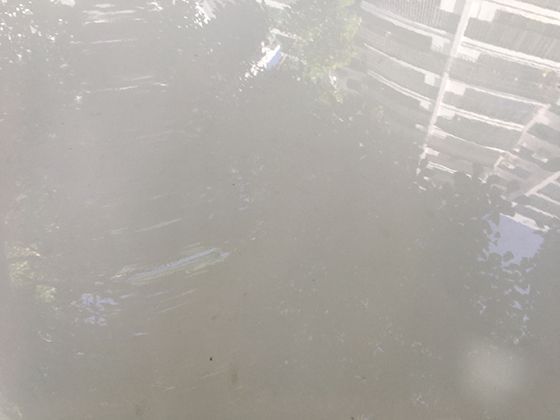 东北少数民族对雪的独特称呼：因雪的形态各异，诞生了哪些鲜活雪名