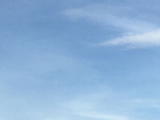 普通职场人应掌握哪些AI辅助办公工具来应对智能转型？