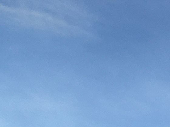 黑龙江方正大米：地理标志产品的魅力，日常食用软糯适中