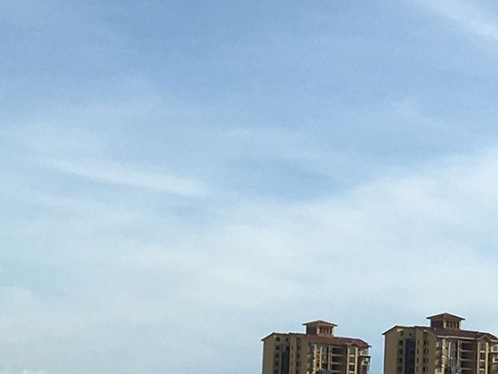 寄居蟹换壳：挑“房子”比人还讲究