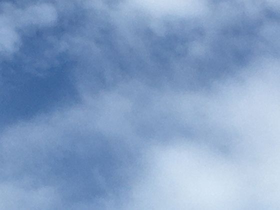 从“蹴鞠禁令”到“全民狂欢”：古代足球的兴衰，藏着怎样的政治与文化密码？