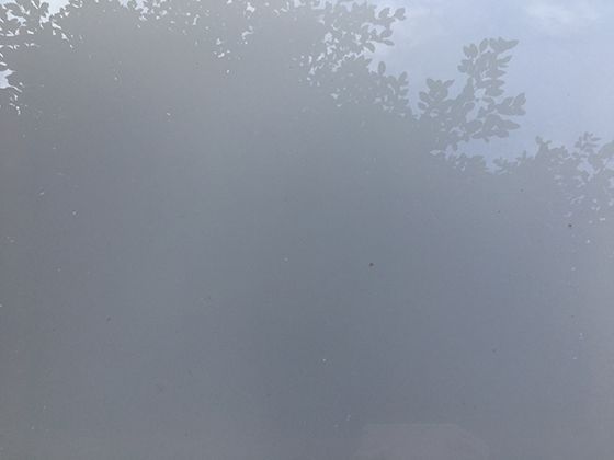 全球蝗灾防控合作：回顾人类历史上共同应对虫害的跨国行动。