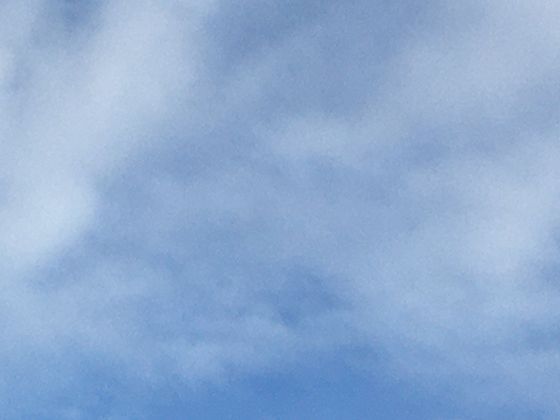 传统工艺中的智慧：蒙古族皮手套如何兼顾保暖与灵活性