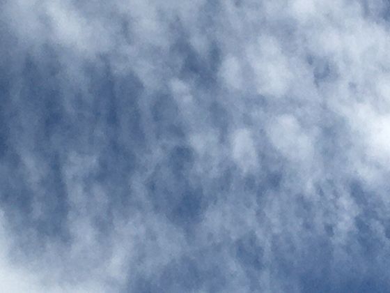 神圣与权力的象征：从印度象神到王室仪仗中的文化符号演变