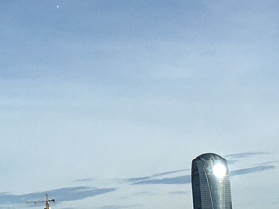 鹦鹉的“左撇子”现象：观察它们使用脚爪取食的偏好习性。