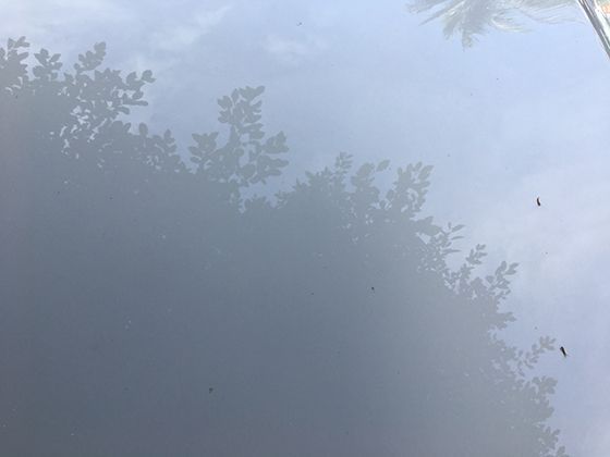 纱丽：印度女性的梦幻之衣，蕴含着哪些文化内涵？