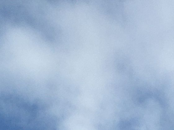 八月桂月庆中秋：古人“祭月赏月”的仪式有哪些讲究？这些传统礼节别错过