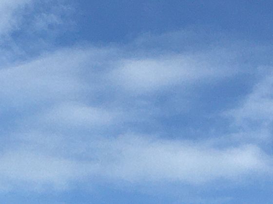 《簪花仕女图》的唐代审美：画中服饰妆容如何展现盛唐社会风尚知识？