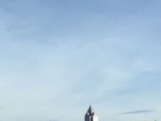 榕树：热带地区的“生命之树”，其独特气生根如何造就庞大树冠？