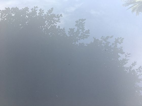 《许我耀眼》甜虐交织：他为她挡下所有流言，她用耀眼成就回报“并肩的光”