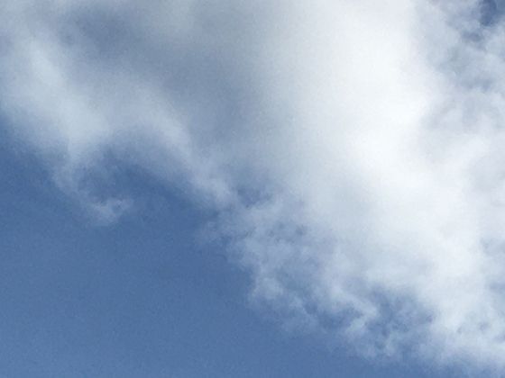 世界各地的文化中，蛙类象征着好运、繁衍还是雨水？