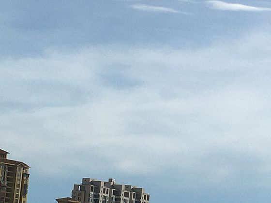 辅助裁决在体育赛事中的应用，究竟利大于弊还是相反？