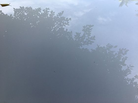 世界寒极探索记：奥伊米亚康与南极东方站的人类居住挑战