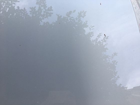 胡椒在东西方饮食中的角色差异：为何东方多用白胡椒？